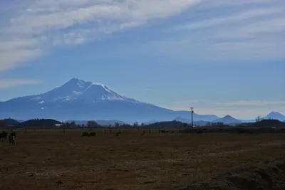 DSC_6042 (Large).JPG